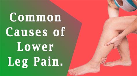 Reduced leg pain and swelling: