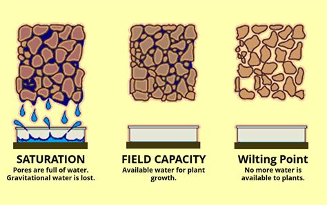 Reduced moisture content: