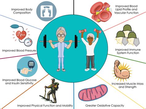 Reduced risk of chronic diseases: