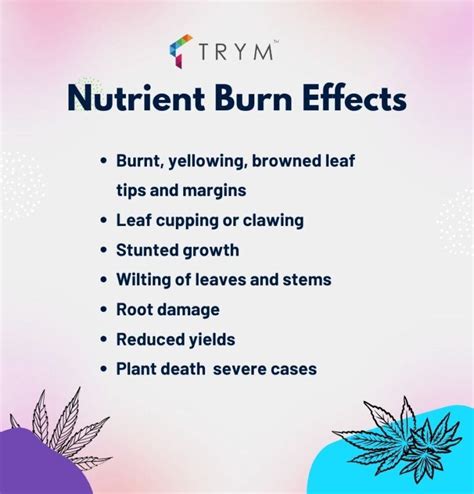 Reduced risk of nutrient burn: