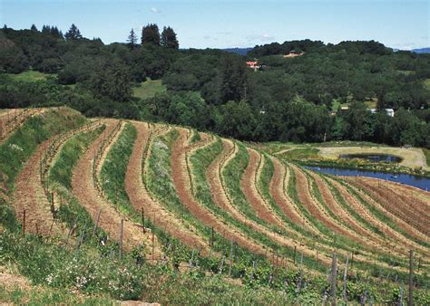 Reduced soil erosion