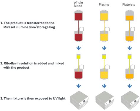 ReducedOdor and Pathogen Reduction: