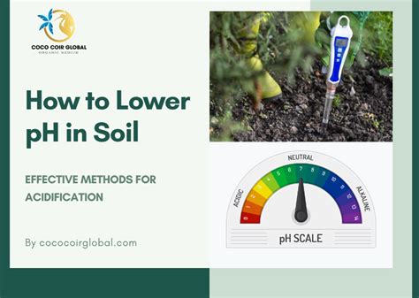 Reduces Soil pH: