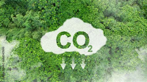 Reduces greenhouse gas emissions: