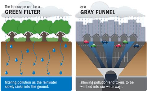 Reducing Pollutant Runoff