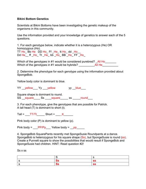 Reebop Genetics Answer Key Reader