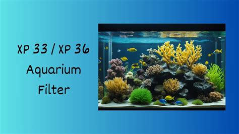 Reef Factory Aquarium Filters: A Comprehensive Comparison