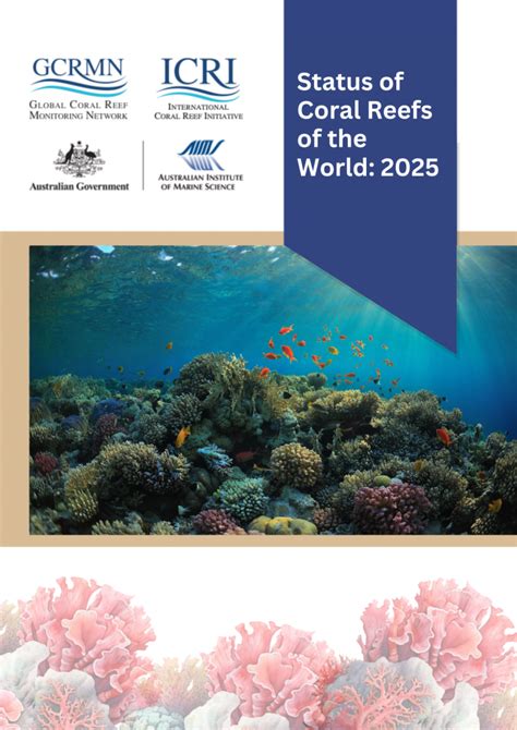 Reef Factory News and Updates: 2025 Edition