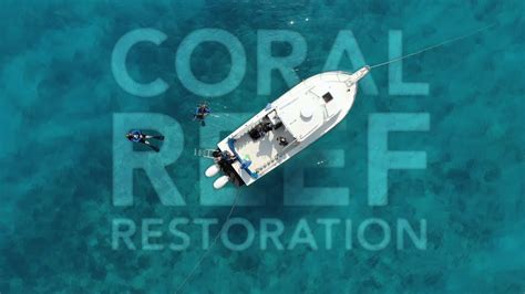 Reef Factory conservation efforts