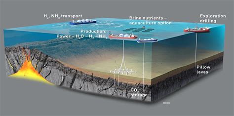 Reen Ocean: A Vast Reservoir of Untapped Resources