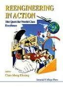 Reengineering in Action The Quest for World-Class Excellence Epub