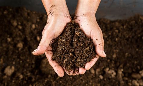 Refine Compost Quality: