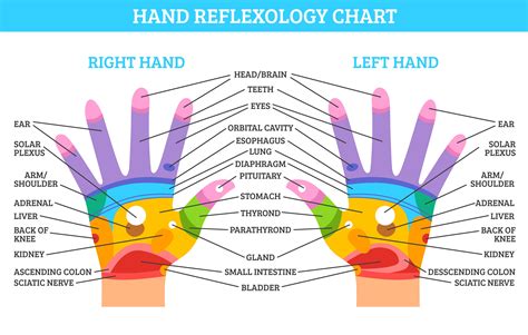Reflexology Chart Hands