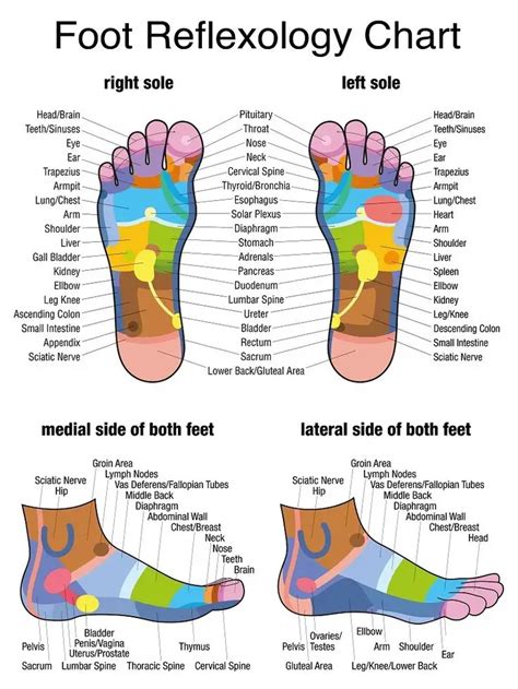Reflexology Top Of Foot Chart