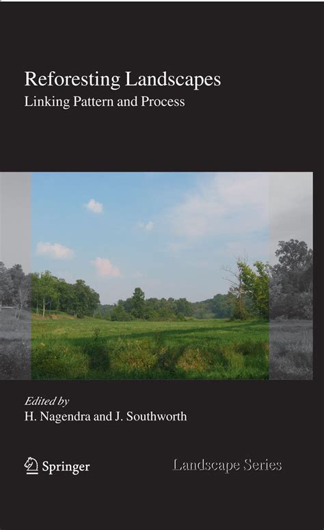 Reforesting Landscapes Linking Pattern and Process 1st Edition Reader