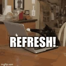 Refreshing the page repeatedly: