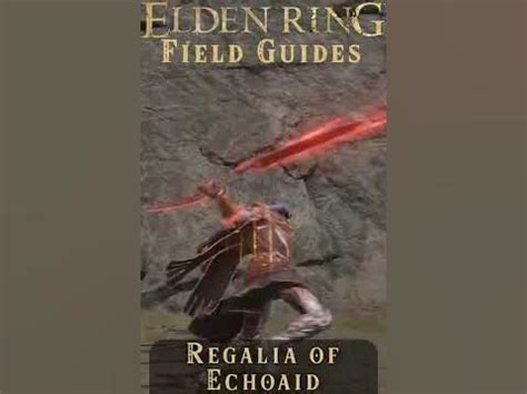 Regalia of Echoaid: A Comprehensive Guide to the Wonderous Artifact