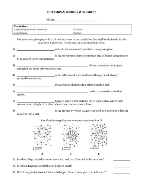 Regents Biology Diffusion And Osmosis Answer Key Doc