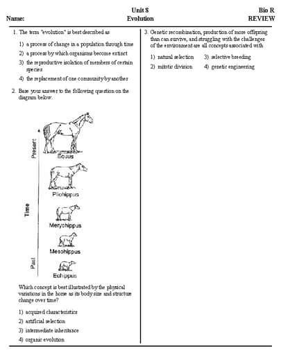 Regents Biology Evolution Test Answer Key PDF