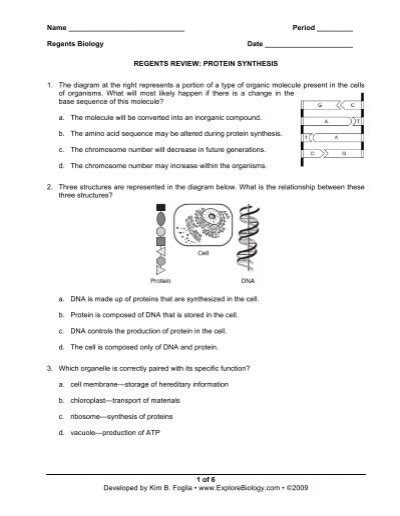 Regents Review Protein Synthesis Answers Kindle Editon