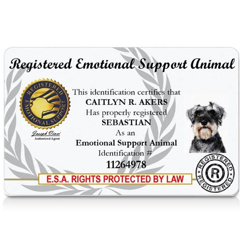 Registered Emotional Support Animals: Your Guide to Getting Certified