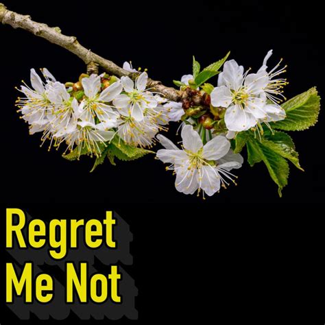 Regret Me Not Epub