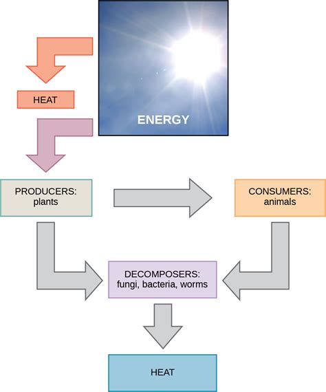 Regulate Energy Flow: