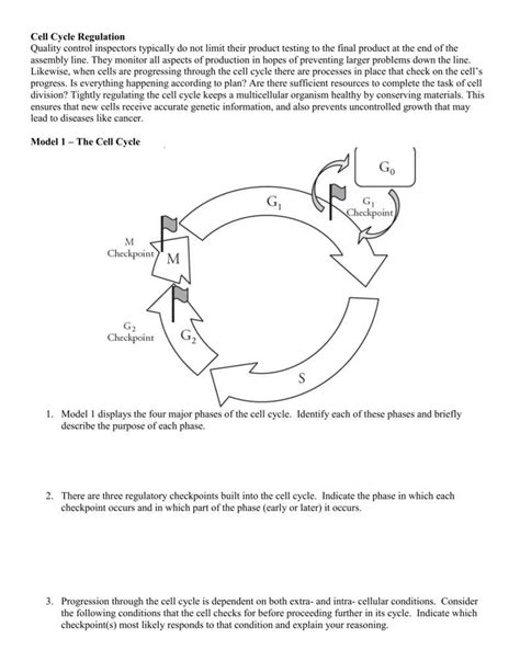 Regulating The Cell Cycle Answer Key Epub