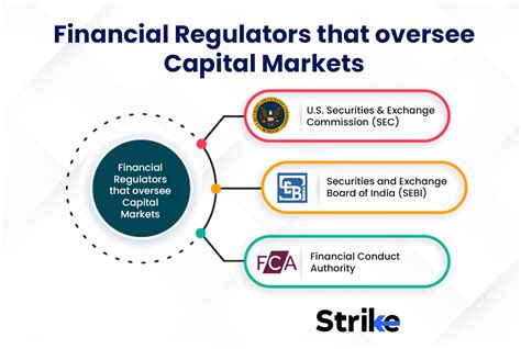 Regulation of Capital Market & Investors Protection in India Epub