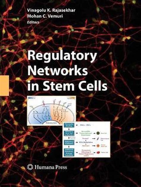 Regulatory Networks in Stem Cells Kindle Editon