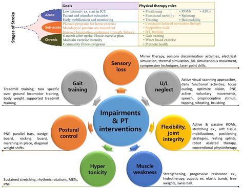 Rehabilitation Interventions Doc