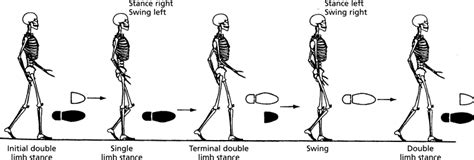 Rehabilitation of Movement Theoretical Basis of Clinical Practice PDF