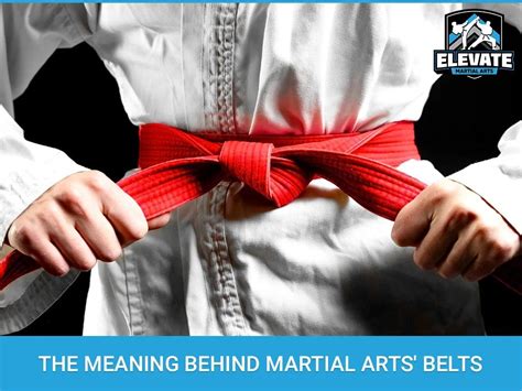 Rei Belts: Elevate Your Everyday and Martial Arts Training