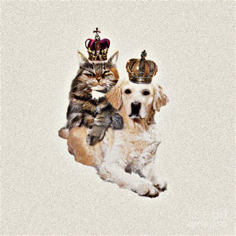 Reigning Cats and Dogs Doc