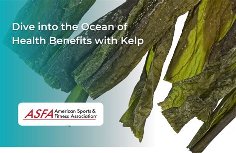 Reimagine Plant Nutrition with Kelp: Discover Its Unparalleled Benefits