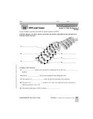 Reinforcement And Study Guide Dna The Answers Doc