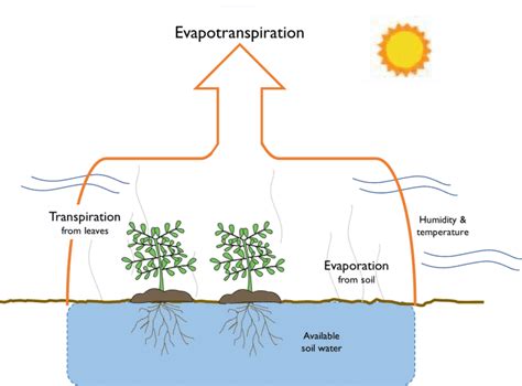 Relation of Soil Bacteria to Evaporation... Reader