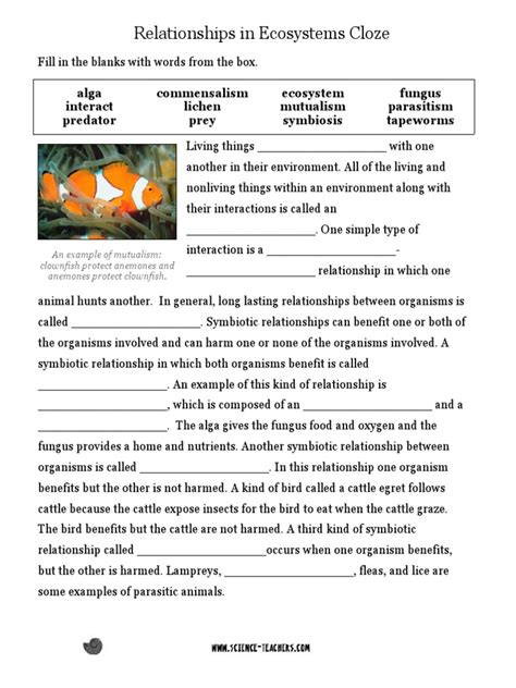 Relationships In Ecosystems Cloze Answer Key Reader