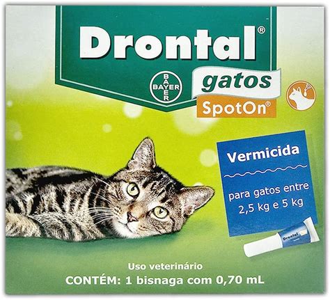 Remédio de Vermes para Gatos: Guia Completo