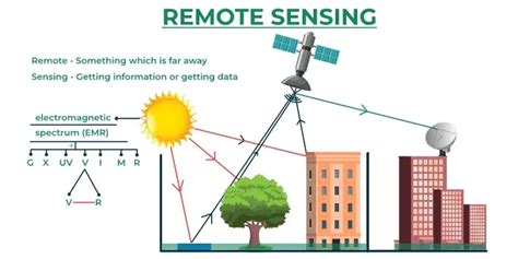 Remote Sensing & Forest Surveys Reprint Reader