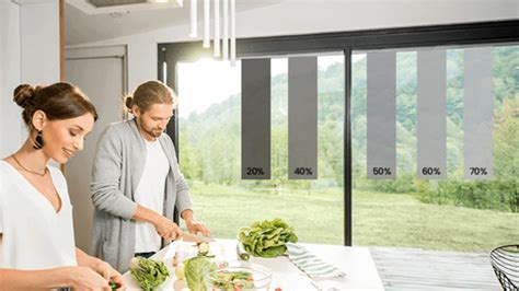 Removable Window Tint for Homes: Enhancing Privacy, Comfort, and Energy Efficiency
