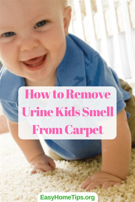 Remove Pee Smell from Rug: 5 Effective Methods for a Fresh-Smelling Haven