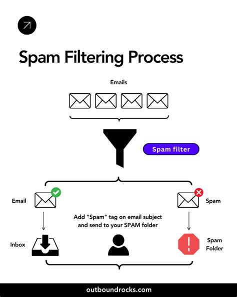 Removing the Spam  Email Processing and Filtering Kindle Editon