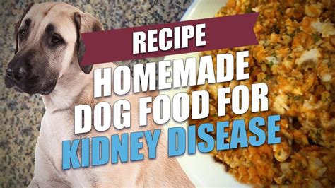 Renal Failure Diet for Dogs: How to Help Your Pup Recover