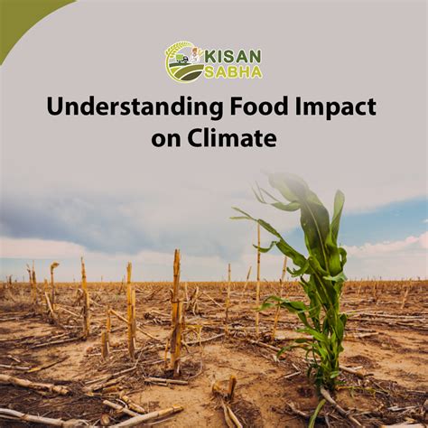 Renataperez3: A Comprehensive Guide to Understanding the Impact of Climate Change on Food Security