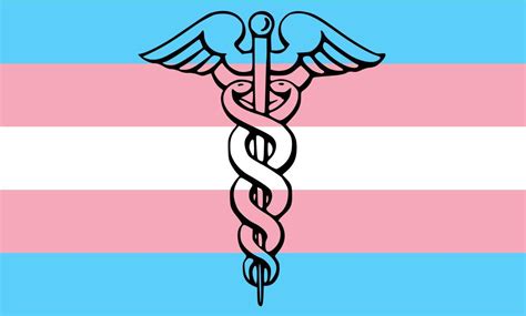 Renatinha Trans: A Guide to Safe and Effective Transgender Healthcare