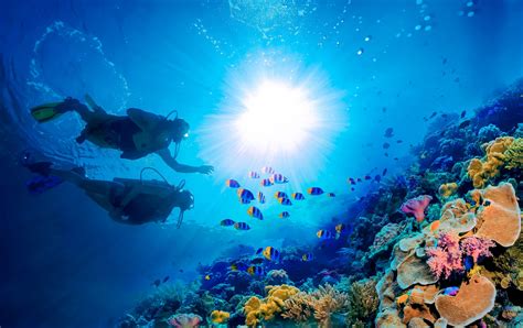 Renowned Scuba Diving Paradise