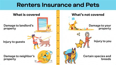 Renters Insurance Pet Coverage: Protect Your Furry Friends and Valuables for Less