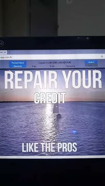 Repair Your Credit Like Pros PDF