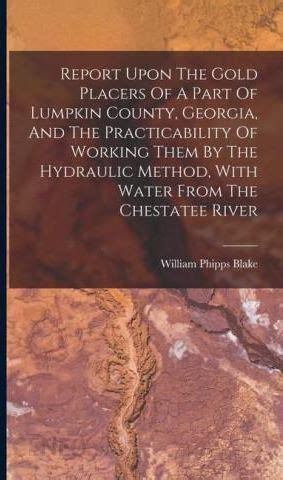 Report Upon the Gold Placers of a Part of Lumpkin County PDF